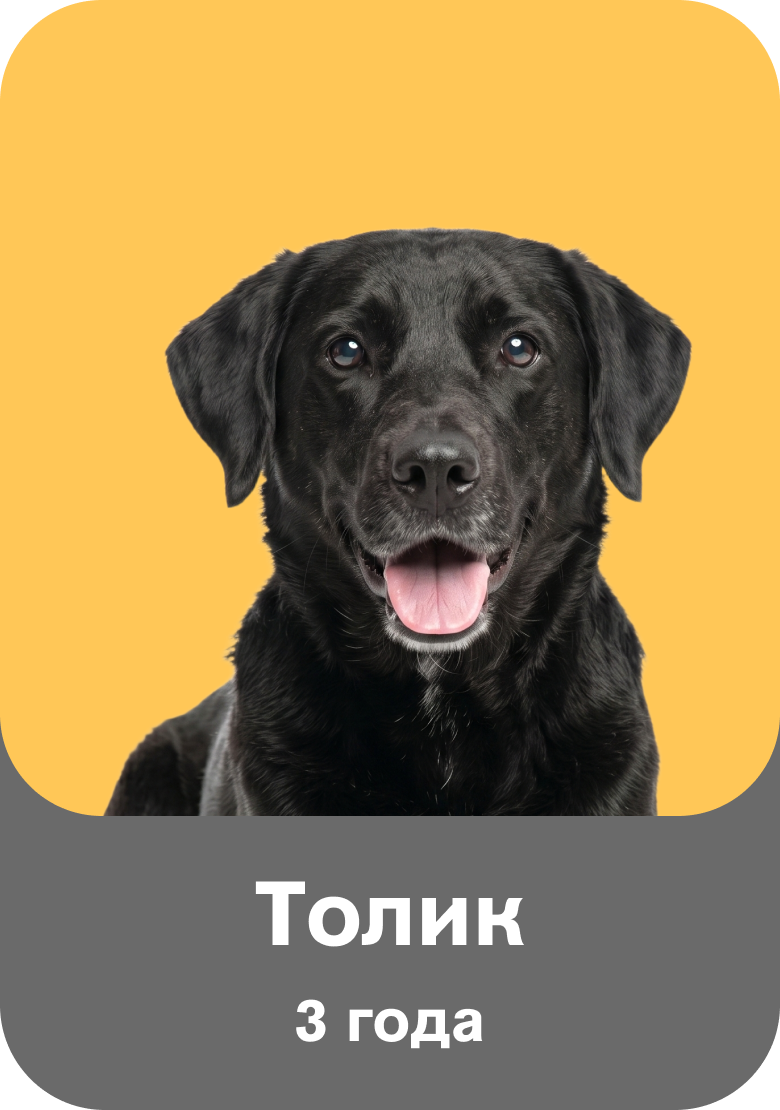 Толик